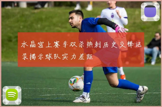 水晶宫上赛季双杀热刺历史交锋记录揭示球队实力差距