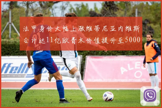 法甲身价大幅上涨维蒂尼亚内维斯合计达11亿欧青木价值提升至5000万