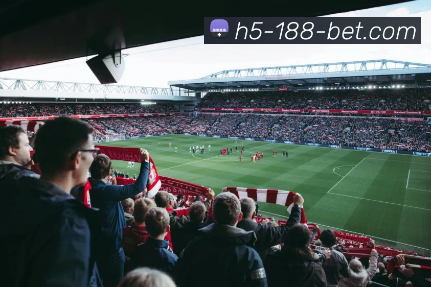 数据防护可视化